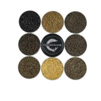 Caviar Gift Pack -Authority Signature - 28g